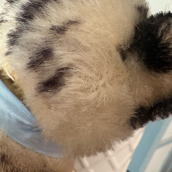 STEIFF SUSIE KITTY CAT - Picture 6 of 16